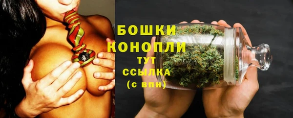 шишки Бердск