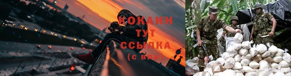 индика Артём