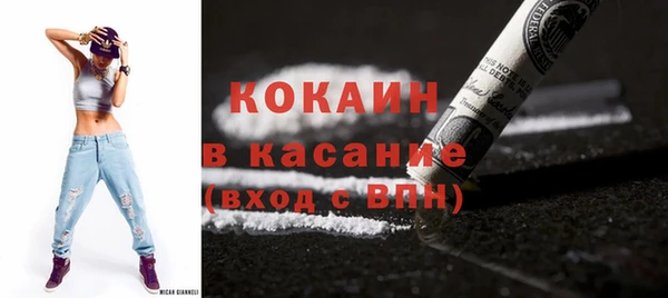 индика Артём