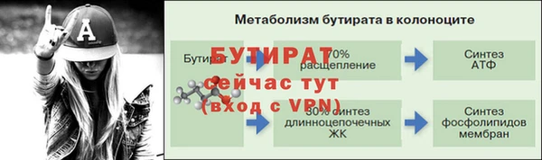 шишки Бердск