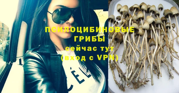гидропоника Новый Уренгой