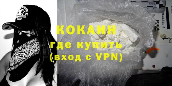 шишки Бердск