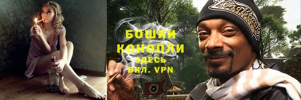 шишки Бердск